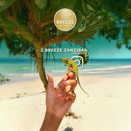 Z-Breeze Zanzibar Hotell Kiwengwa  Eksteriør bilde